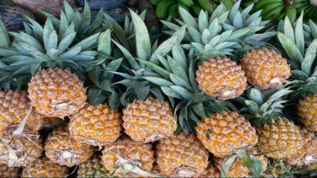 ananas