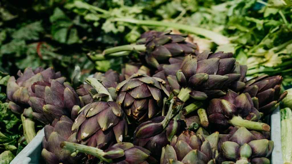 Enginar (Cynara scolymus),