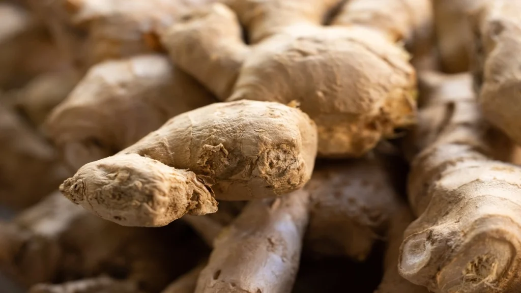 Zencefilli limonlu su ne işe yarar?