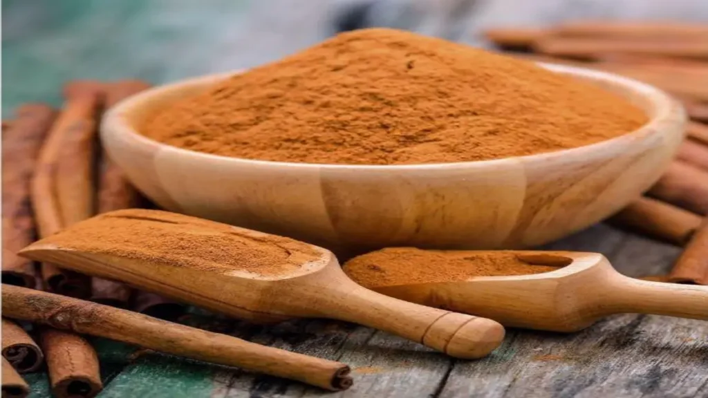 Saigon tarçını (Cinnamomum loureiroi) özellikleri